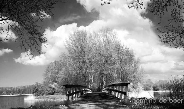 Nature Park, Lelystad, Holland