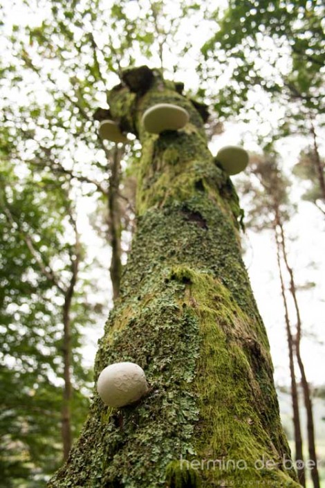 Wicklow Mountains National Park