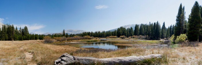 Tuolumne Meadows, Yosemite National Park