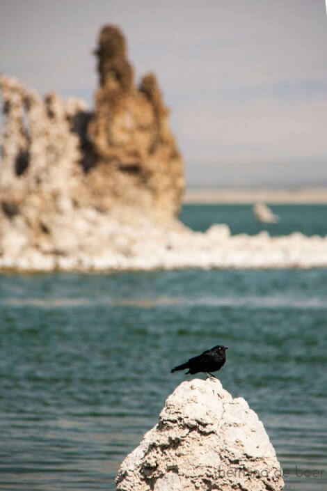 Mono Lake, America