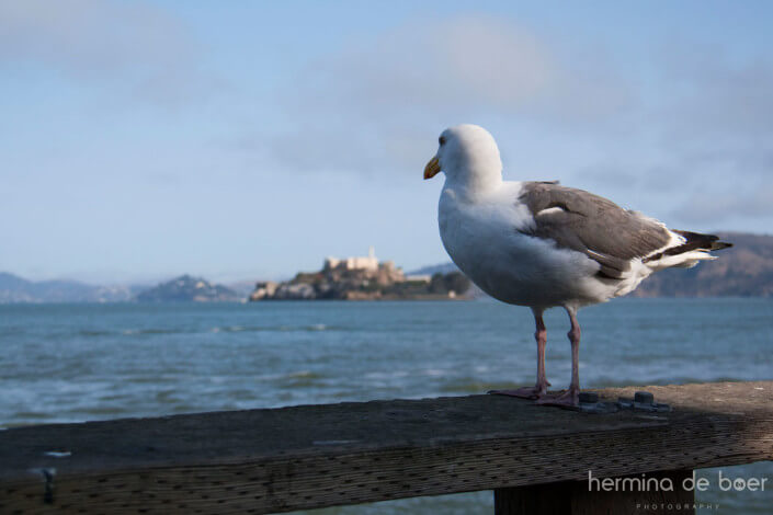 San Francisco, Alcatraz